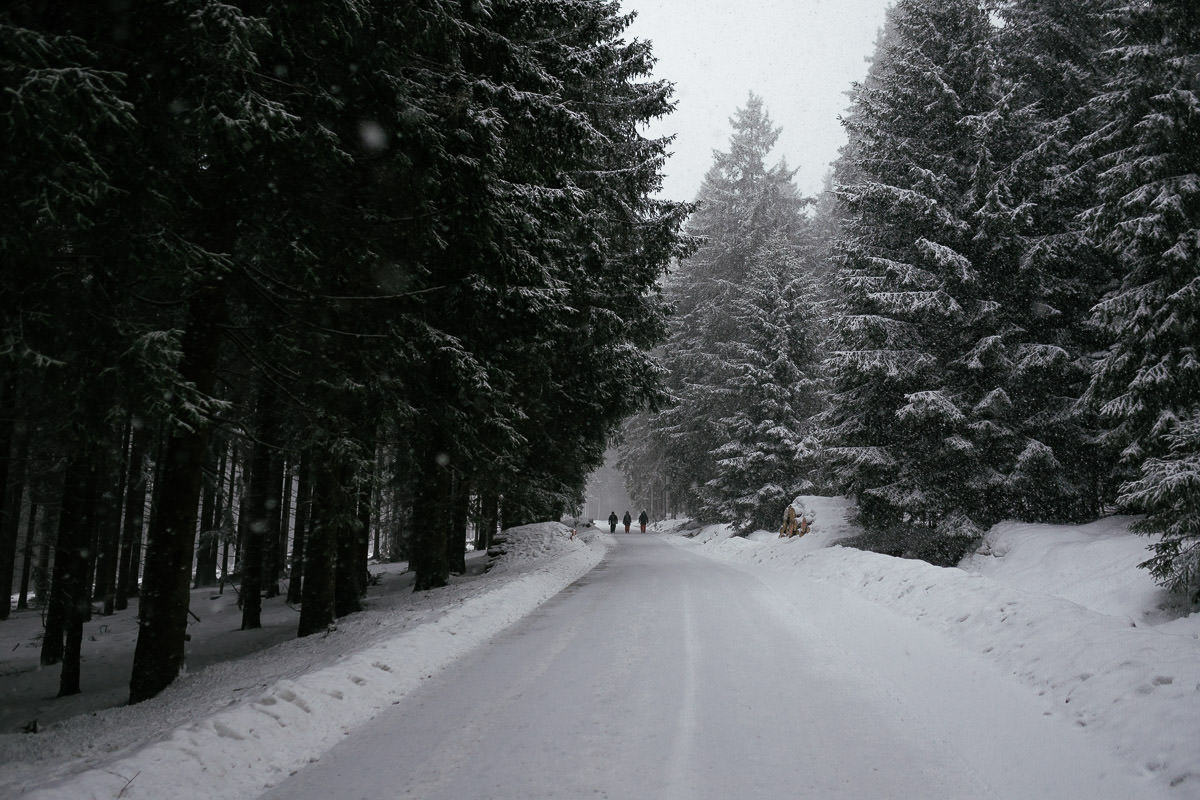 Harz Braunlage Wurmberg Schnee Wandern